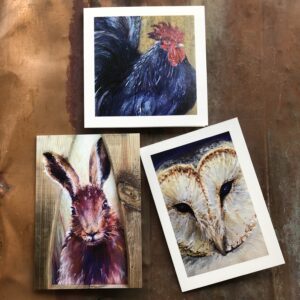 Greeting Card Collection 4